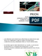 Expo Prion