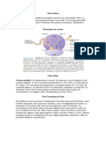 Tetraciclinas