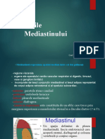 Mediastin