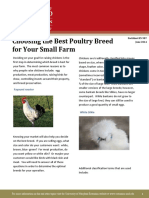 Choosing the Best Poultry Breeds for your Small Farm_0