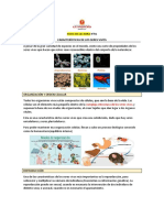 Ficha Lectura Característica Seres Vivos