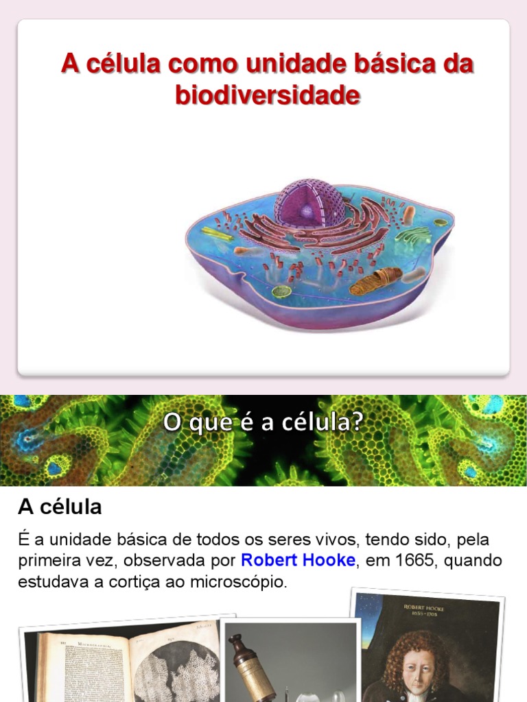 0.4. A Célula Como Unidade Básica Da Vida | PDF | Célula (Biologia ...