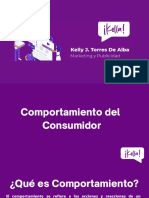 Comportamiento Del Consumidor