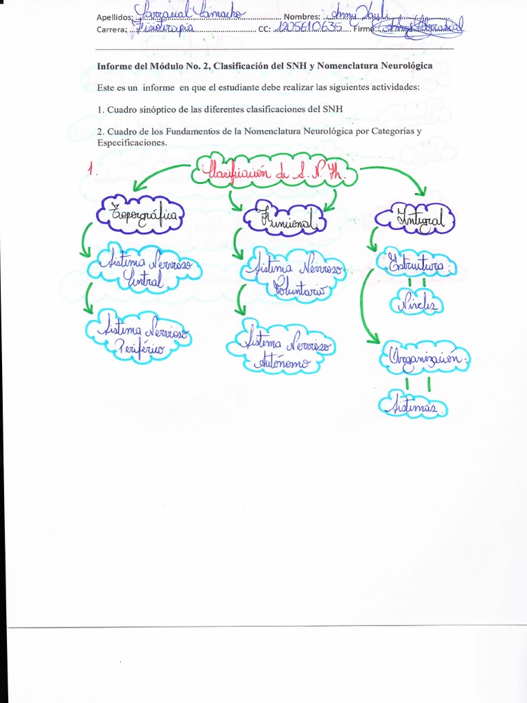 Clasificación del SNH y Nomenclatura Neuro16gica | PDF | Relaciones ...
