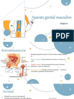 Urology Clinical Case XL by Slidesgo