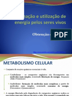 Obtenção de energia celular através do metabolismo