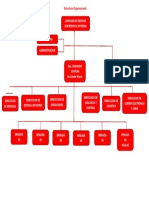 Estructura Organizacional