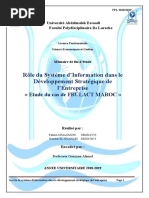 PFE Sur Le Role Du SI