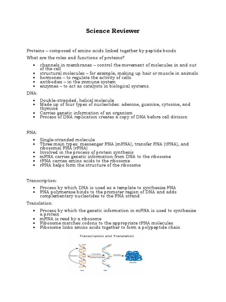 Protein Synthesis and Mutation PDF