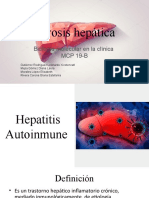 3.fibrosis Hepática 19-B