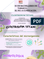 Caracteristicas de Un Microorganismo - Bacteria - CLOSTRIDIUM TETANI
