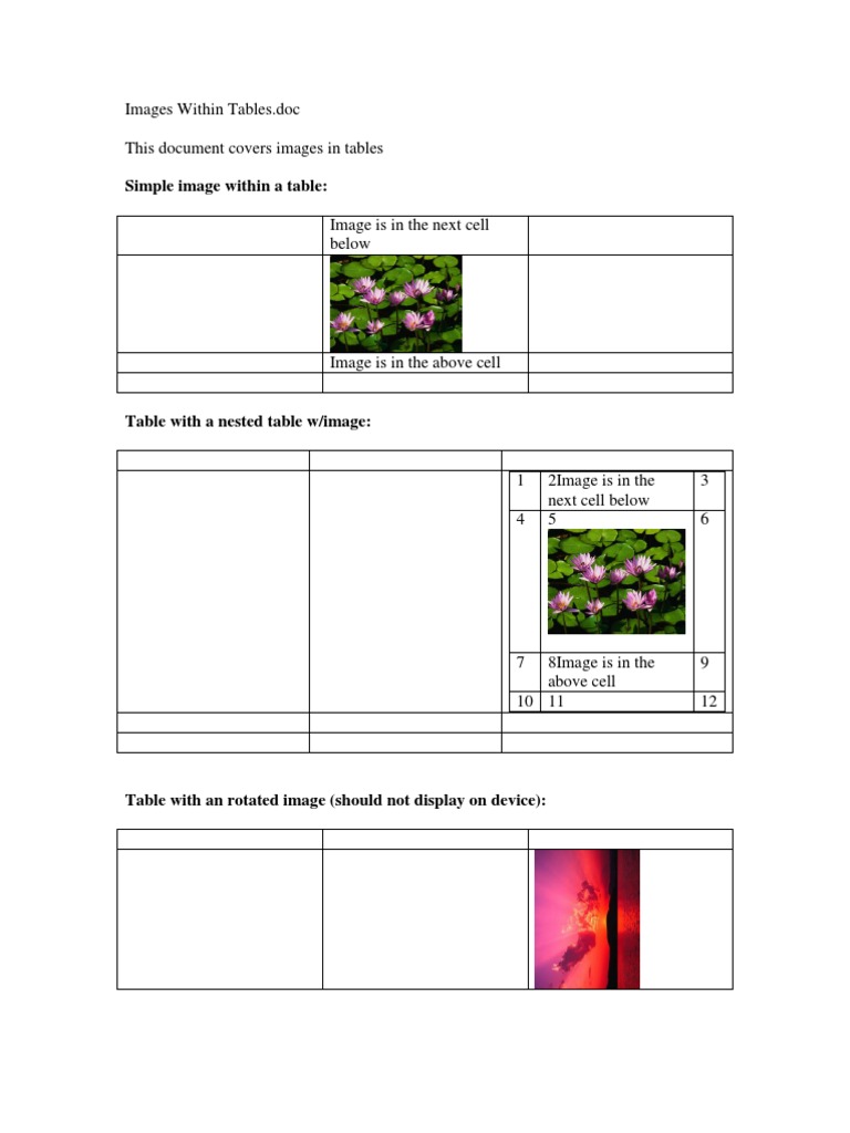 Images Within Tables | PDF | Imaging | Computer Graphics