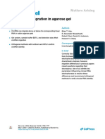 Circular RNA Migration in Agarose Gel