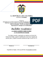 Certificado Diplomados - Docx202222