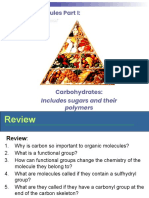 Macromolecules Part I: Carbohydrates Explained