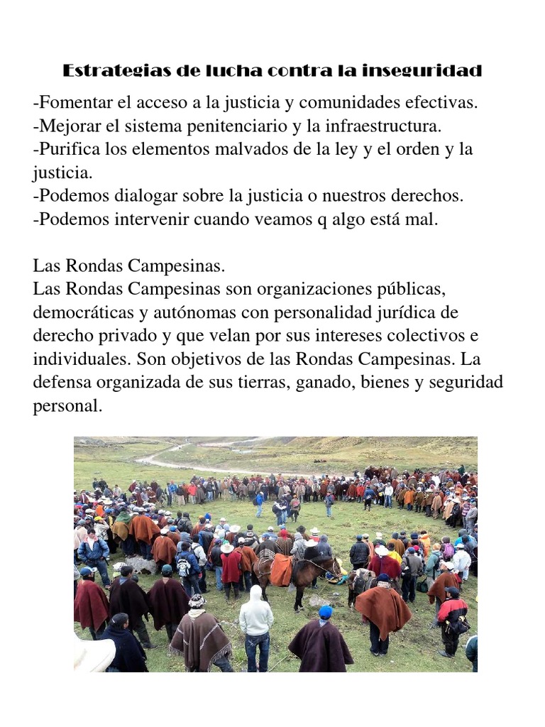 Estrategias de lucha contra la inseguridad | PDF