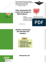 Amibas Comensales Del Intestino Del Hombre y Balantidiosis