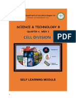 Cell Division: Mitosis and Meiosis