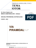 SISTEMA MOTOR - Dr. Zapata