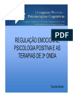 RegulacaoEmocional