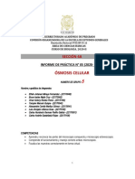 Sem 5 - Tarea 5 - Informe de Practica - 2020-IIgab