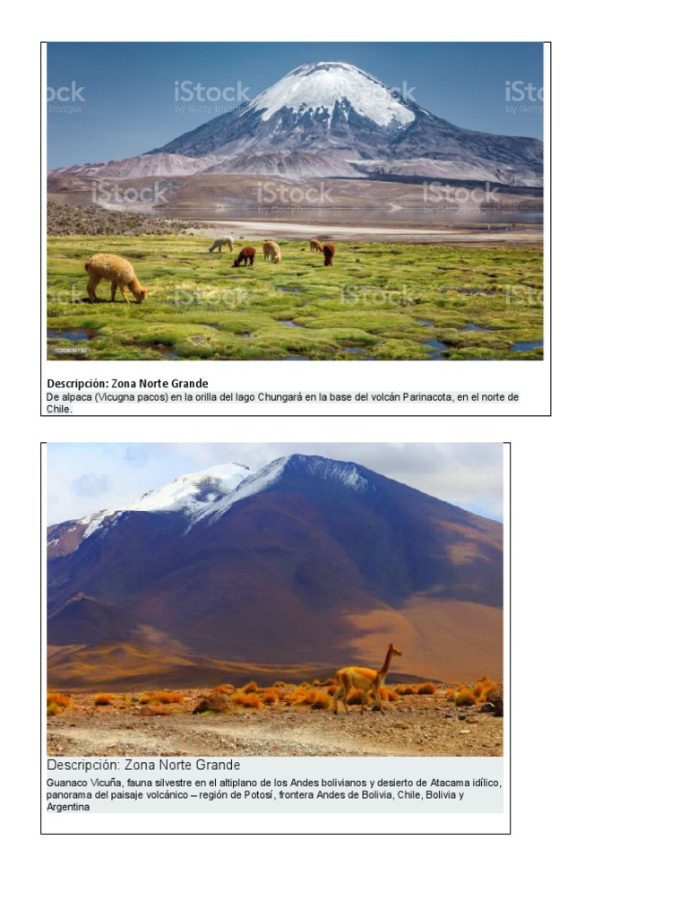 Imágenes de la Zona Norte de Chile | PDF | Tecnología