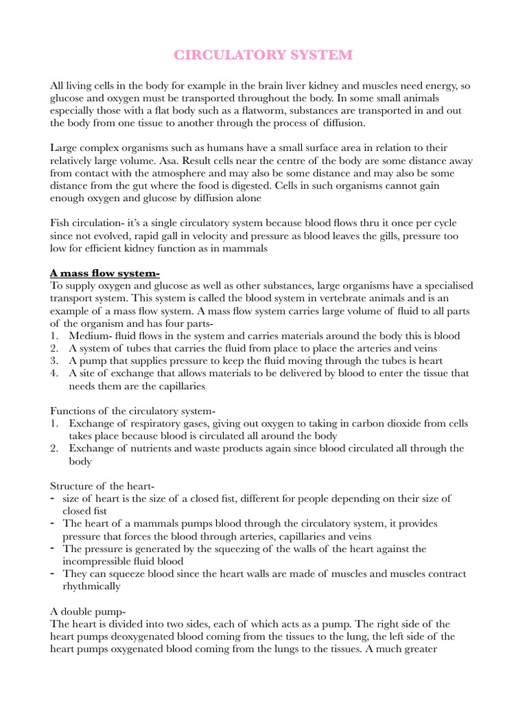 Circulatory System Notes Igcse | PDF | Atrium (Heart) | Ventricle (Heart)