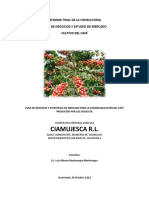 Informe Final Cooperativa Ciamujesca R L 26 Octubre 2022