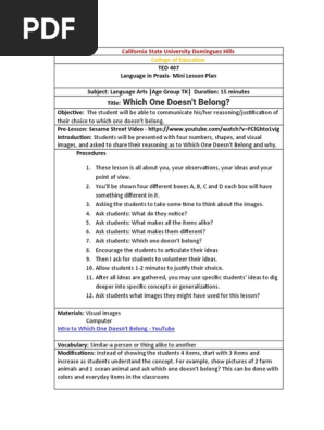 TED 407 Mini Lesson Plan