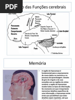 Resumo das Funçoes cerebrais