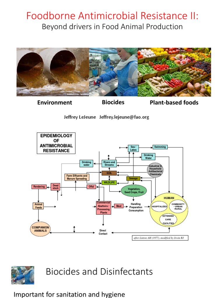 Food of NonAnimal Origin and Food Production Practices (FAO) PDF
