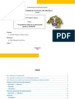 INFORME S7 - Genetica V. 