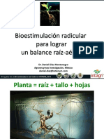 4. Bioestimulacion radical para lograr un balance raiz-parte aerea (Diaz)