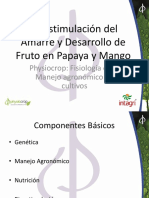 5. Papaya mango bioestimulacion del amarre y desarrollo de fruto (Bante)
