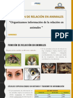 Semana 7 SESIÓN1 13-09 - 2021 Relación en Animales