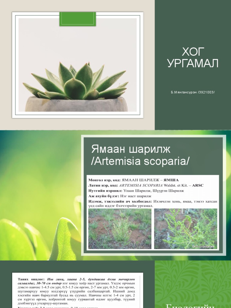 ХОГ УРГАМАЛ | PDF