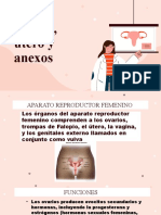Vagina, Utero y Anexos