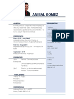 CV Anibal Gomez
