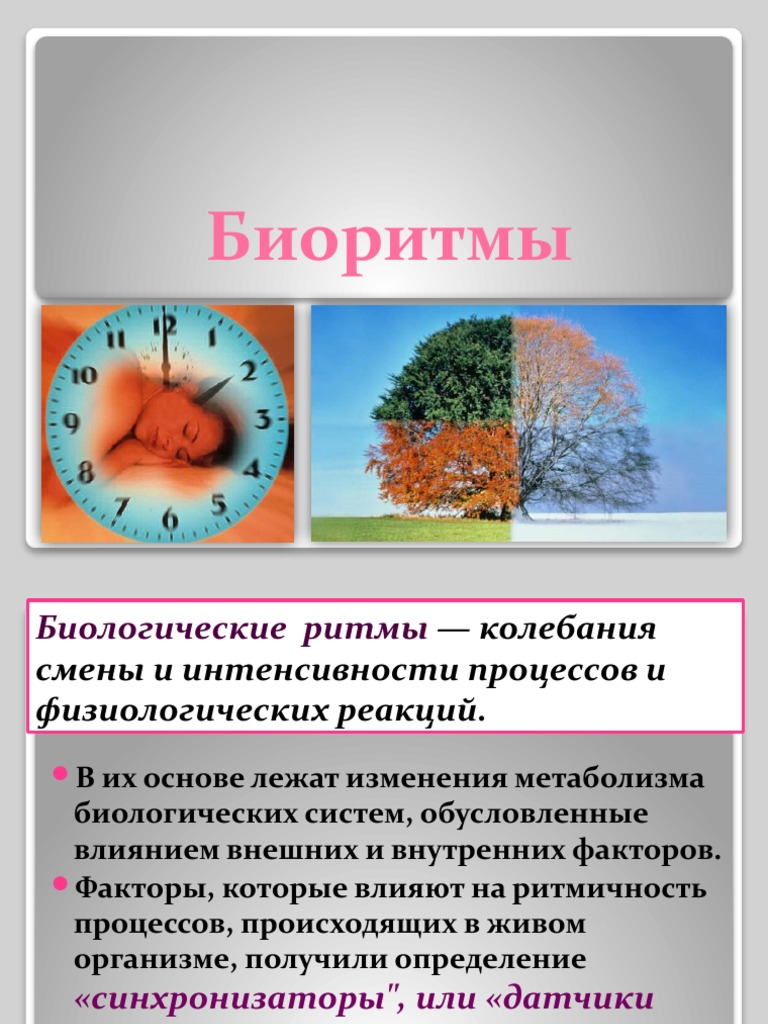 Биоритмы | PDF