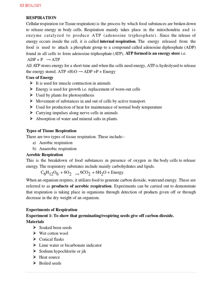 Cellular Respiration and Experiments | PDF | Cellular Respiration ...
