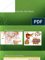 Fisiología y patologías del páncreas