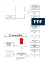 PATHOPHYSIOLOGY Pyelonephritis