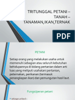 2 Tritutnggal Petani - Tanah - Tanaman