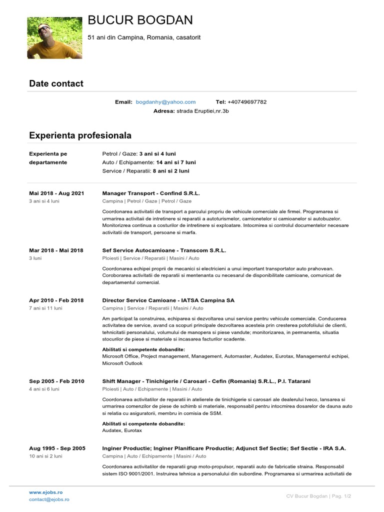 CV Bogdan Bucur | PDF