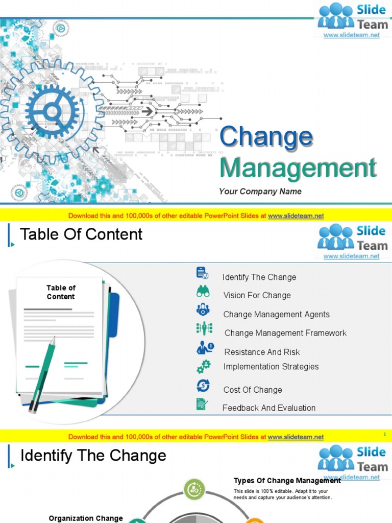 Change Management Strategies Guide | PDF