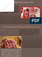 Aspectos Microbiológicos y Parasitológicos de La Carne