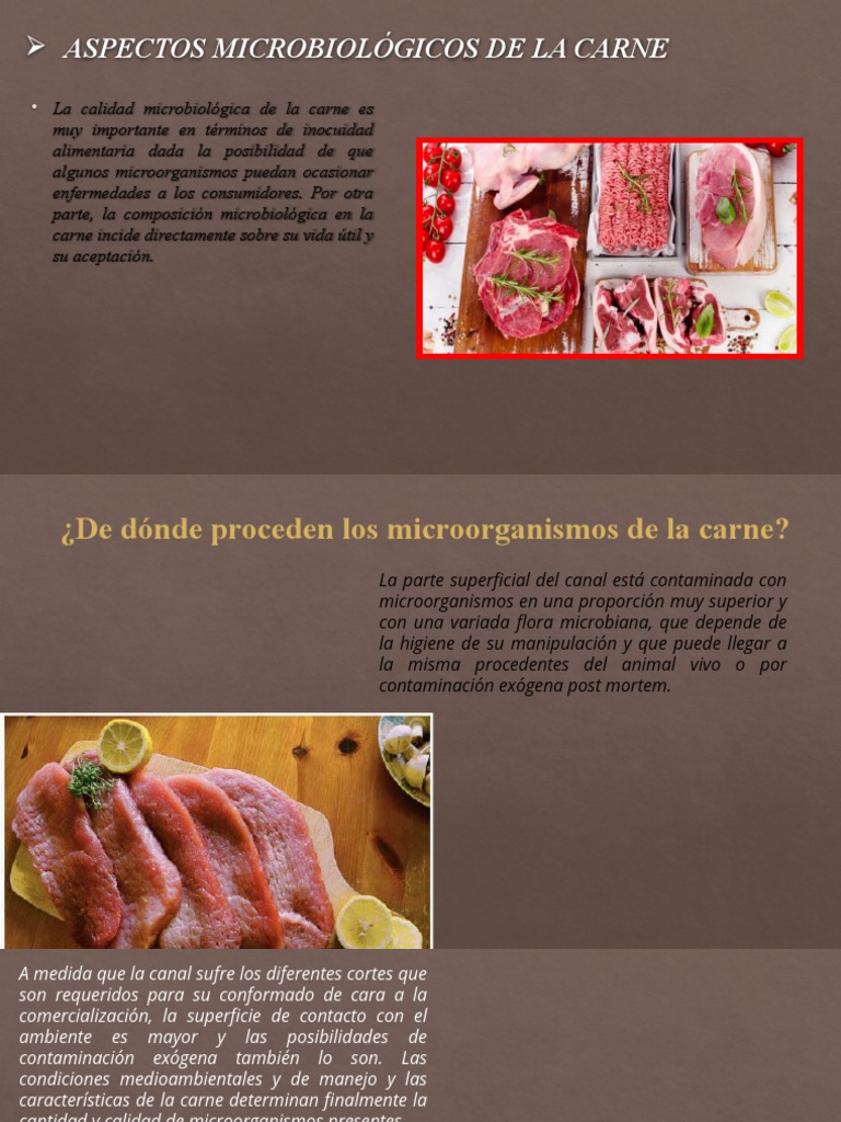 Aspectos Microbiológicos y Parasitológicos de La Carne | PDF