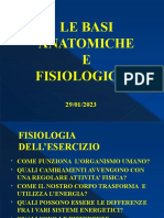 Lezione Catalano 1