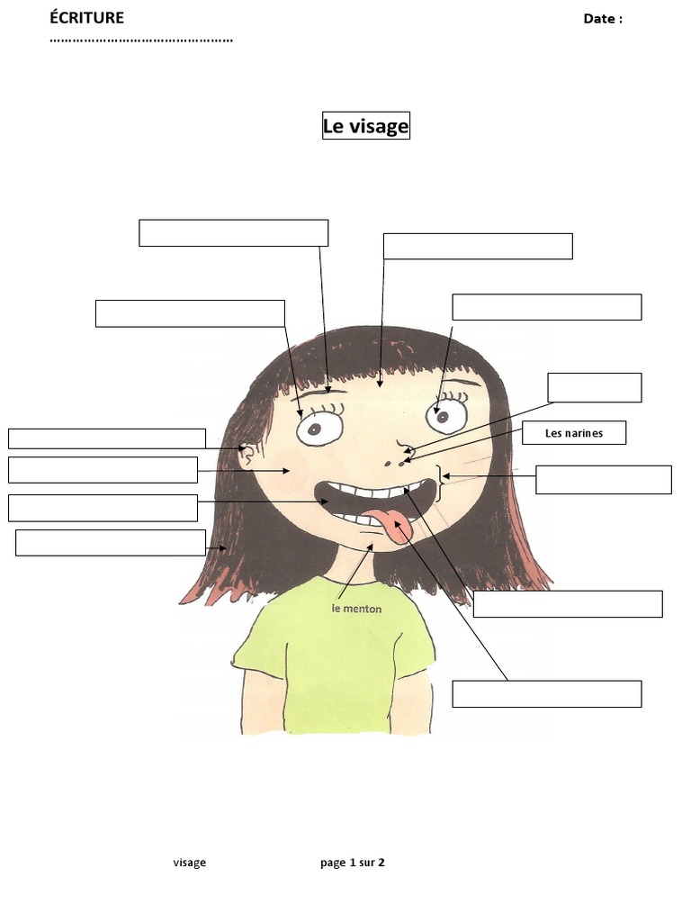 Vocabulaire des parties du visage | PDF | Jeux et activités | Arts du ...