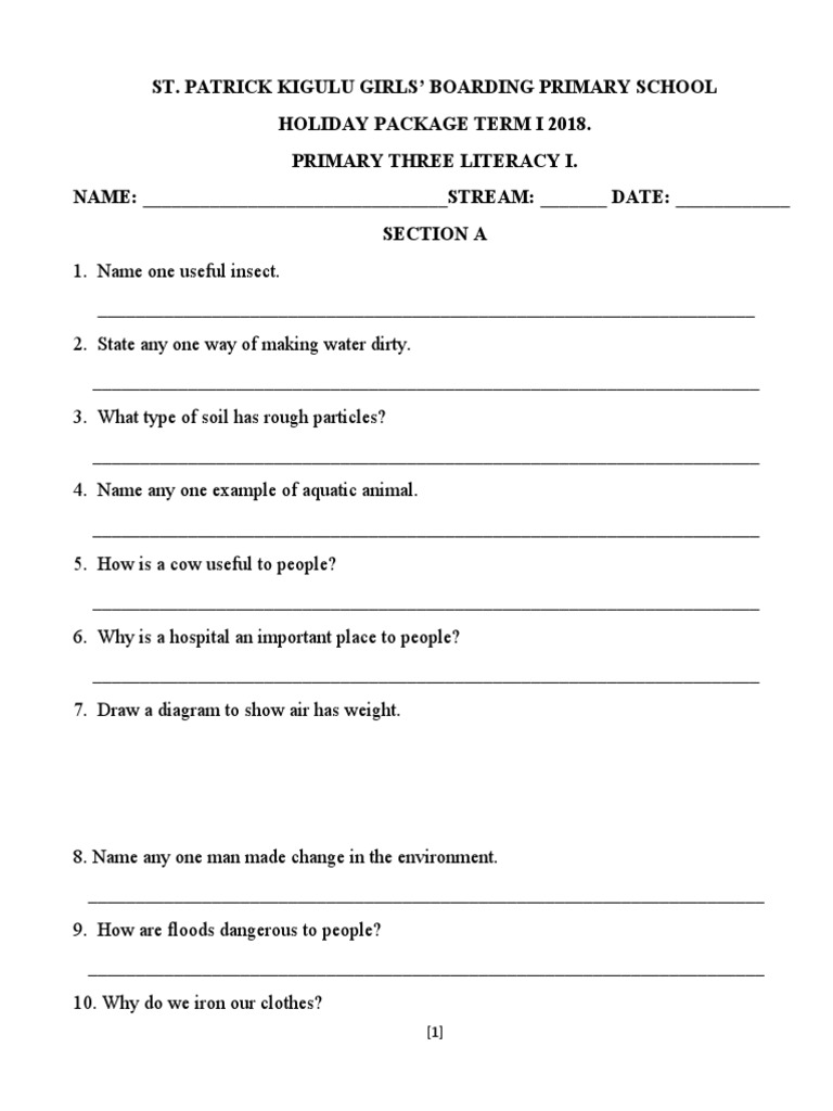 Primary Three Literacy Exam Questions | PDF | Home & Garden | Science ...